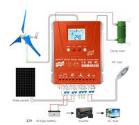 Regolatore eolico solare ibrido da 3000 W 12V24V48V con display LCD, per uso completo di batterie Lifepo4 per pannelli solari o generatore eolico