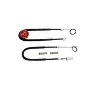 Regolatore Finestrino Per Citroen C3 Per Pluriel Kit Rullo Regolatore Finestrino Posteriore Destro Kit Di Riparazione Regolatore Finestra Regolatore Vetro Regolatore Del Vetro Porta