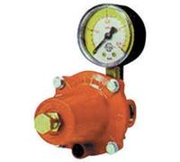 REGOLATORE GPL DI ALTA PRESSIONE CON MANOMETRO APZ250 kg/h 30