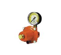 Regolatore gpl di alta pressione con manometro mod. apz250 kg. / h 30