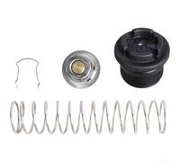 Regolatore per termico per Pentair per mastertemp 400 250 Regolatore | Acciaio anti-, durata prolungata, resistenza ruggine, ambiente umido piscina, prestazione affidabile