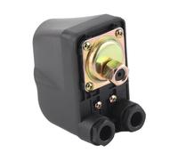 Regolatore Pompa Acqua Automatico, Interruttore di Pressione per Controllo Flusso e Avviamento Booster Pompe Idrauliche 220V