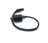 Regolatore, raddrizzatore, bobina di accensione e relè solenoide for quad ATV da 260 cc, 300 cc e 400 cc(IGNITION COIL)