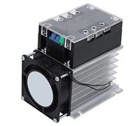 Regolatore Soft Start, Scheda di Avvio Motore, Parti Elettriche Accessorio per Motore Mono/bifase Inferiore in Alluminio, per Pompa Acqua, Ventilatore, Veicolo(Module + radiator)