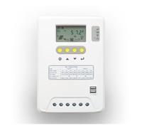 Regolatore Solare 120A 60A 80A 100A 12V24V36V48V AUTO Regolatori di carica solare Solare fotovoltaico Caricabatterie Timer Modalità controllo a luce(100A)