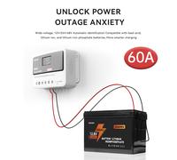 Regolatore solare PWM 12V24V48V 60A Automatic Solar Controller Lead-Acid Battery