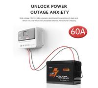 Regolatore solare PWM 12V24V48V 60A Automatic Solar Controller Lead-Acid Battery