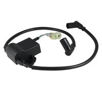 regolatore tensione Per Ski-Doo Formula S/Sl Skandic 380/500 Per Touring LE/SLE/E LT Moto CDI BOX Accenditore Avviamento Motore Bobina Di Accensione 420965756