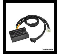 Regolatore Voltaggio per Honda Ax-1 NX 250 Di 1988 Per 1993 Nuovo
