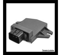 Regolatore Voltaggio per Ski - Doo Summit Everest 500 SS Da 2009 Nuovo