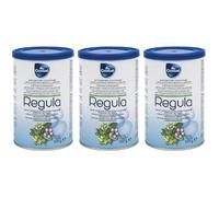 Regula Misc Erbe Svizz 3x100 g Polvere per soluzione orale