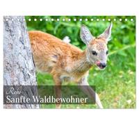 Rehe - Sanfte Waldbewohner (Tischkalender 2026 DIN A5 quer), CALVENDO Monatskalender: Ein Kalender, der die stille Schönheit der Rehe durch das Jahr einfängt.