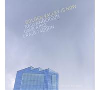 Reid Anderson/Dave King/Craig Taborn Golden Valley Is Now (CD) Album