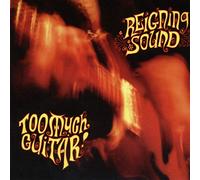 Reigning Sound - Too Much Guitar