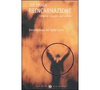 Reincarnazione. L'eterno viaggio dell'anima