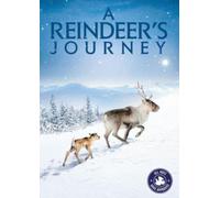 Reindeers Journey