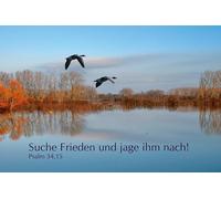 Reinhard Börner - Jahreslosung 2019 - Suche Frieden und jage ihm nach! (CD-Card)