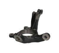 Reinhoch Achsschenkel Radaufhängung Davanti Destra Per Toyota RAV 4 III _A3_