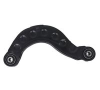 REINHOCH Bielletta barra stabilizzatrice per RENAULT SCÉNIC II (JM0/1) RH06-2007