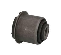 REINHOCH Braccio Oscillante Destro Sinistro Per Ford Ranger TKE ( RH14-4051 )