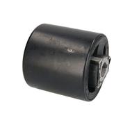 REINHOCH Braccio Oscillante Dx SX per BMW X5 E53 7er E38 5er E39 (RH14-3003)