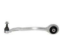 REINHOCH Braccio Oscillante Manubrio Sospensione Ruota Ant. SX Sotto per Audi A4
