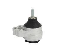 REINHOCH Cuscinetti Del Motore Cuscinetto Destra per Ford Focus Daw Dbw Dnw Dfw