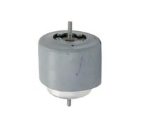 REINHOCH Cuscinetti Del Motore Destra Adatto A per Audi A4 8E2 B6 8E5 4B C5