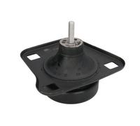 REINHOCH Cuscinetti Del Motore Destra per Ford Fiesta Scatola J5 J3 Jv