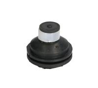 REINHOCH Cuscinetti Del Motore Frontale per Renault Kangoo KC0 1 FC0 1