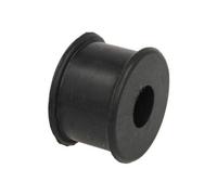 REINHOCH Cuscinetto Stabilizzatore Frontale per Iveco Daily IV Pritsche/Telaio