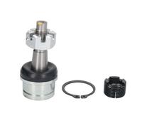 REINHOCH Giunto Sferico Inferiore Anteriore Entrambi i Lati Adatto A per Jeep