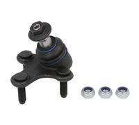 REINHOCH RH03-0025 Testina braccio oscillante