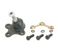REINHOCH RH03-0029 Testina braccio oscillante