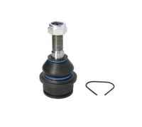 REINHOCH RH03-0035 Testina braccio oscillante