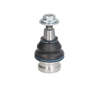 REINHOCH RH03-0042 Testina braccio oscillante