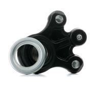 REINHOCH RH03-2038 Testina braccio oscillante