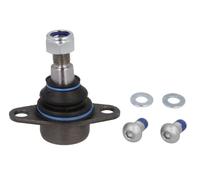 REINHOCH RH03-3001 Testina braccio oscillante