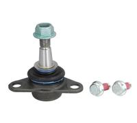 REINHOCH RH03-4021 Testina braccio oscillante