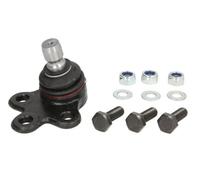 REINHOCH RH03-5019 Testina braccio oscillante