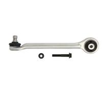 REINHOCH RH04-0008 Braccio oscillante, sospensione ruota