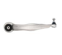 REINHOCH RH04-0066 Braccio oscillante, sospensione ruota