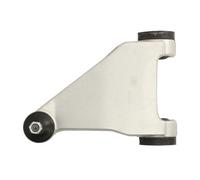 REINHOCH RH04-1043 Braccio oscillante, sospensione ruota