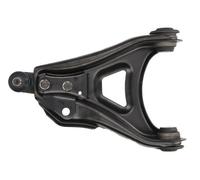 REINHOCH RH04-2039 Braccio oscillante, sospensione ruota