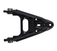 REINHOCH RH04-3019 Braccio oscillante, Sospensione ruota per SMART