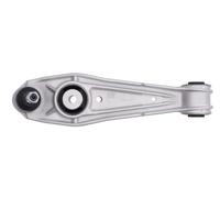 REINHOCH RH04-3024 Braccio oscillante, sospensione ruota