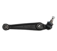 REINHOCH RH04-3046 Braccio oscillante, sospensione ruota