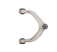 REINHOCH RH04-3050 Braccio oscillante, sospensione ruota