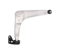 REINHOCH RH04-5015 Braccio oscillante, sospensione ruota