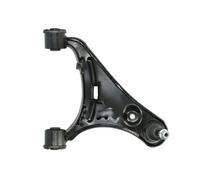 REINHOCH RH04-5055 Braccio oscillante, sospensione ruota